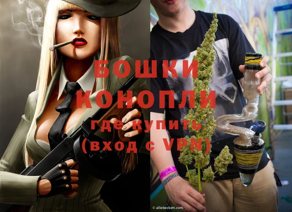 молекула духа Краснослободск